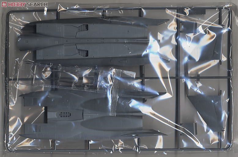 F-15E Strike Eagle (Plastic model) 中身1
