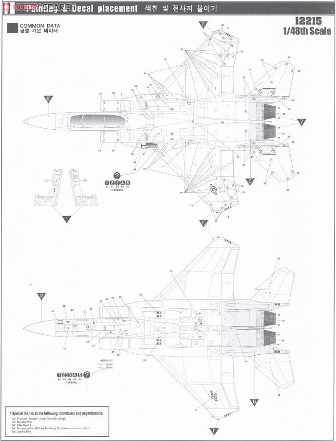 F-15E Strike Eagle (Plastic model) 塗装2
