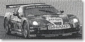 CORVETTE C6R PSI Experience #70 LM2007 (レジン・メタルキット)