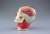 Head Section Anatomy Model (Plastic model) Item picture3