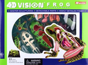 Frog Anatomy Model (Plastic model)