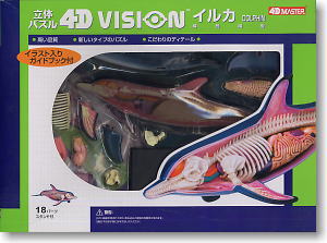 Dolphin Anatomy Model (Plastic model)