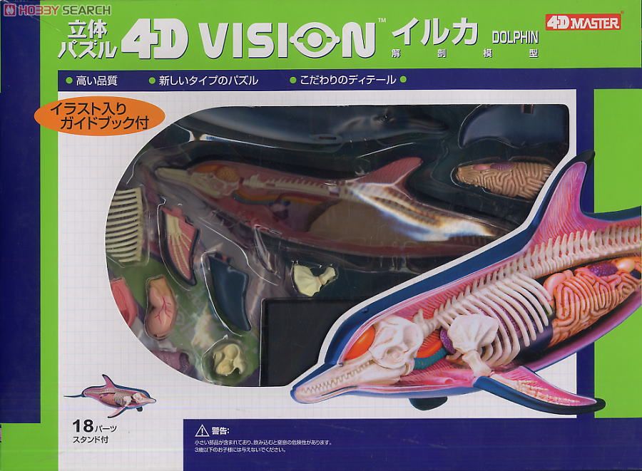Dolphin Anatomy Model (Plastic model) Item picture1