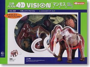 Mammoth Anatomy Model (Plastic model)