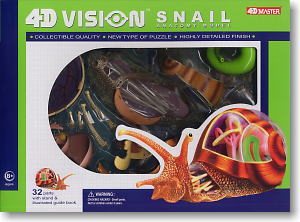 Snail Anatomy Model (Plastic model)
