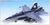F/A-18D Hornet `US MARINES` (Plastic model) Item picture1