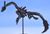 海竜 ラギアクルス 化石フィギュア (完成品) 商品画像4
