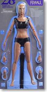 [Hot Toys True Type] 1/6 Scale Action Figure Body:New Generation-Caucasian Female