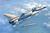 中国空軍 J-10S 複座戦闘機 `ヴィゴラス･ドラゴンS` (プラモデル) 商品画像1