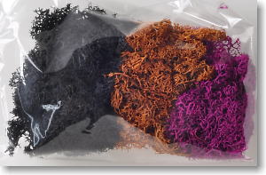 Lichen (Mixed Brown) (Model Train)