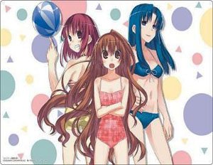 Bushiroad Rubber Mat Collection V2 Vol.942 Dengeki Bunko Toradora! [Taiga Aisaka / Minori Kushieda / Ami Kawashima] (Card Supplies)