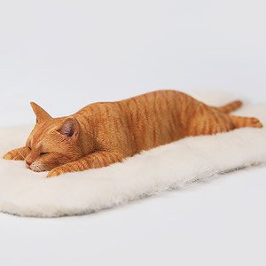 JXK Studio 1/6 Lethargic Cat 7.0 C (Fashion Doll)