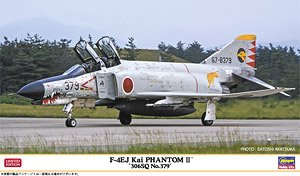 F-4EJ改 スーパーファントム `306SQ 379号機` (プラモデル)