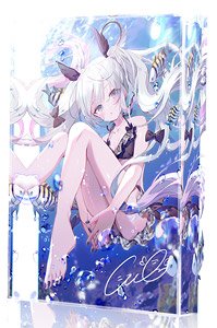 [Only 30 Copies] [Illustrator: nimoshi] X-ART Acrylic Block (Anime Toy)