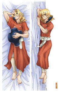 Dr.STONE 描き下ろしプレミアム抱き枕カバー 七海龍水 (キャラクターグッズ)