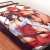 [Queen`s Blade Unlimited] Bed Sheet (Tomoe & Risty) (Anime Toy) Other picture1