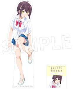 夢見る男子は現実主義者 アクリルメガフィギュア 芦田圭 ver. (キャラクターグッズ)