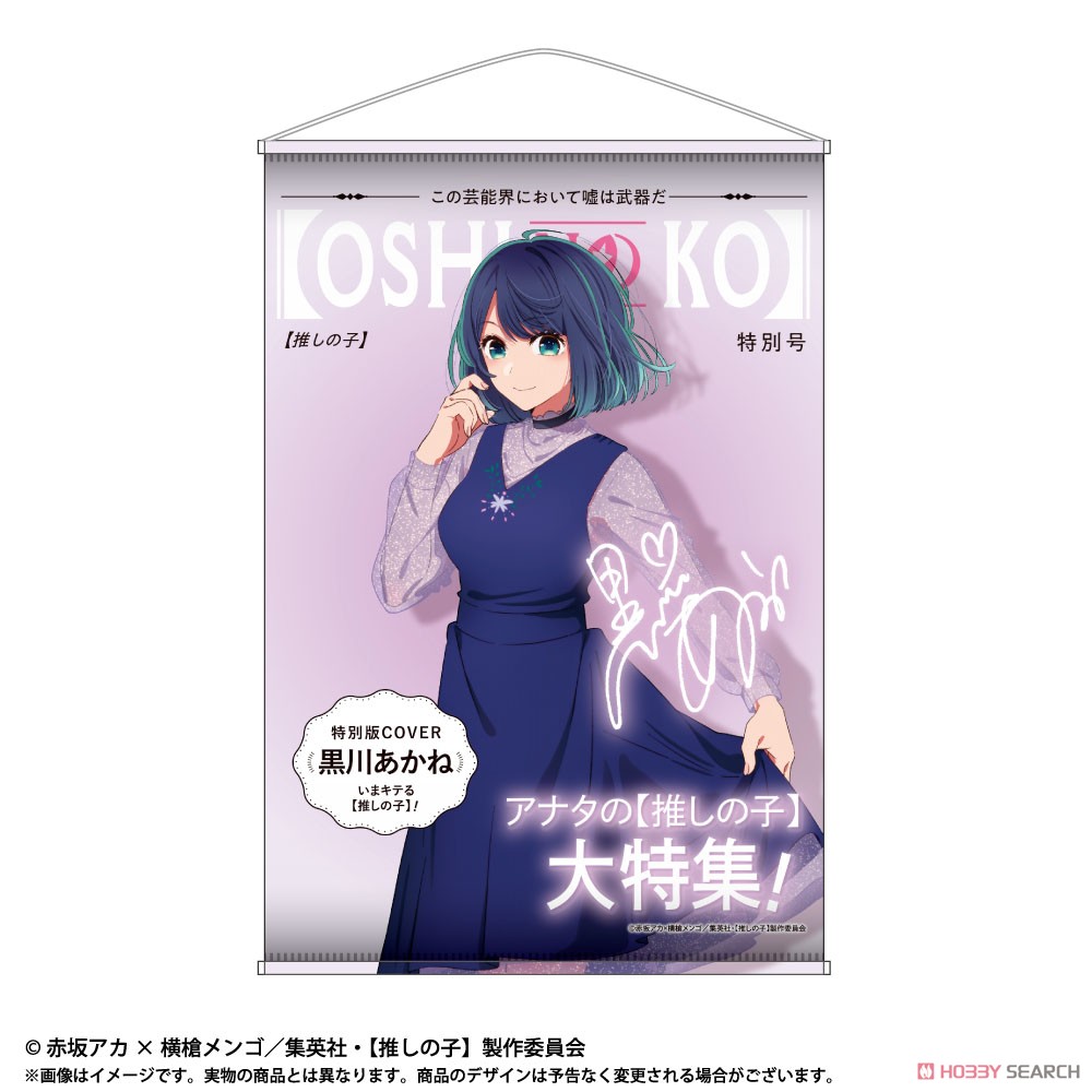 TV Animation [Oshi no Ko] Theme B2 Tapestry Vol.2 Akane Kurokawa (Anime Toy) 商品画像1
