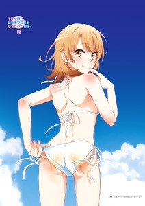 やはり俺の青春ラブコメはまちがっている。完 【描き下ろし】 B2タペストリー いろは (海辺ビキニ) (キャラクターグッズ)