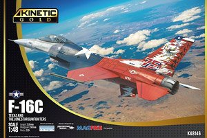 F-16C Texasang The Lone Star Gunfighters (Plastic model)