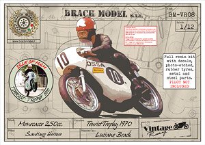 Ossa Monocasco 250cc. Tourist Trophy 1970. Pilot Santiago Herrero (Model Car)