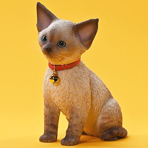 JXK Studio 1/3 Devon Rex 2.0 J (Fashion Doll)