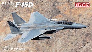 USAF F-15D (Plastic model)