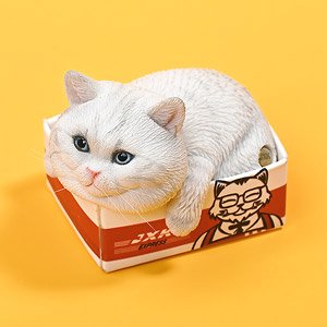 JXK スモール 猫 イン・ザ・ダンボール 4.0 A (ドール)