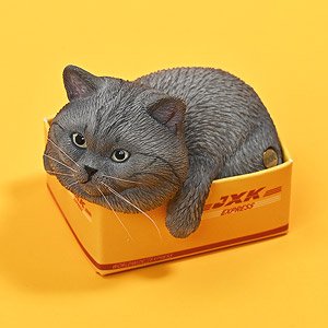 JXK スモール 猫 イン・ザ・ダンボール 4.0 C (ドール)