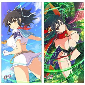 [シノビマスター 閃乱カグラ NEW LINK] ロングクッションカバー (飛鳥/新乳祭) (キャラクターグッズ)