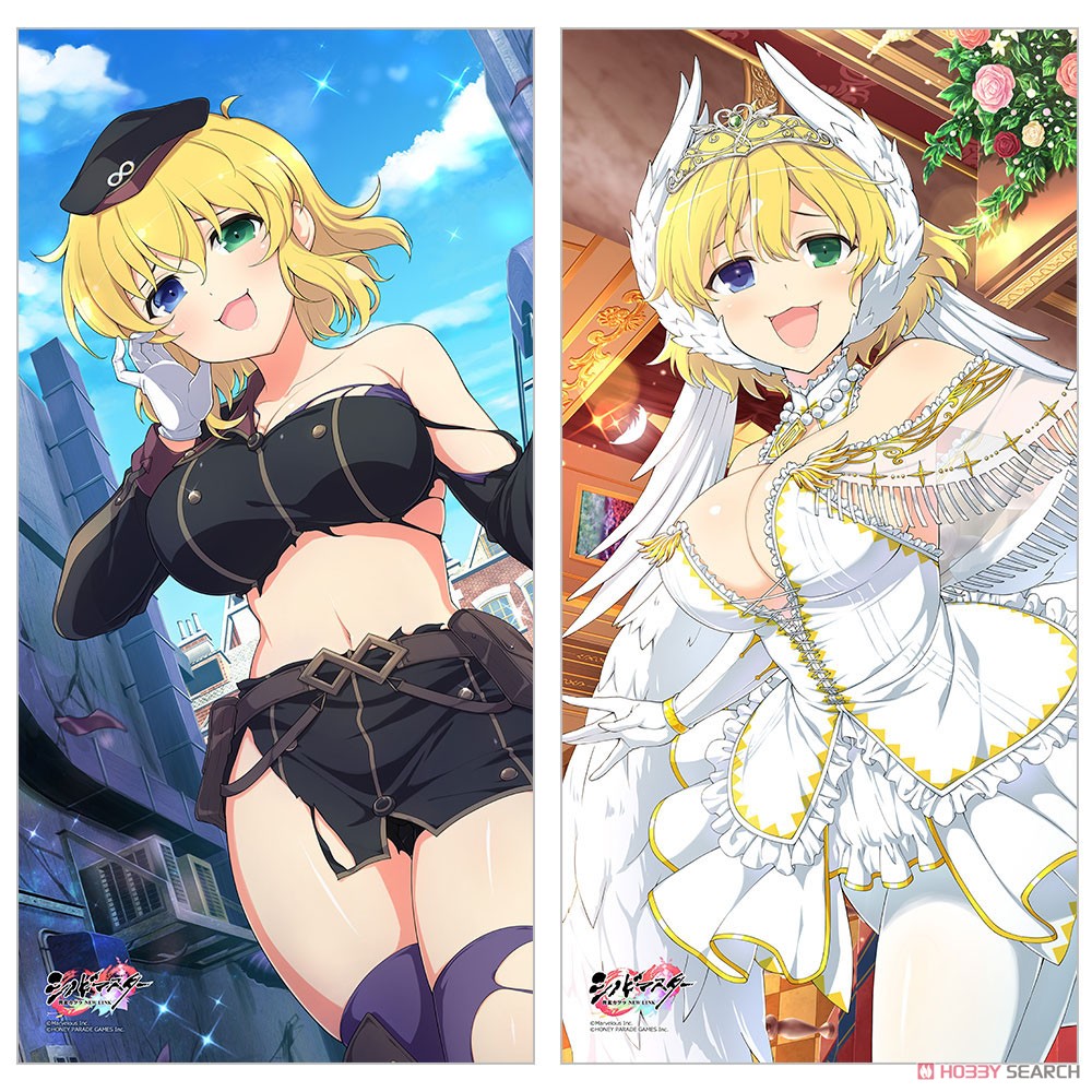 [Shinovi Master Senran Kagura New Link] Long Cushion Cover (Ryona / Pairnyuu Festival) (Anime Toy) Item picture1