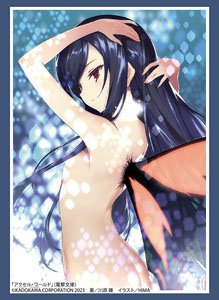 Bushiroad Sleeve Collection HG Vol.3950 Dengeki Bunko Accel World [Kuroyukihime] Part.2 (Card Sleeve)