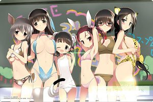 Bushiroad Rubber Mat Collection V2 Vol.1004 Dengeki Bunko Accel World [Mizugiwa no Gouka] (Card Supplies)