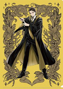 Harry Potter Clear File Cedric Diggory (Anime Toy)