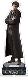 Hogwarts Legacy Acrylic Stand Sebastian Sallow (Anime Toy)