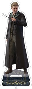Hogwarts Legacy Acrylic Stand Ominis Gaunt (Anime Toy)