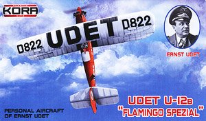 Udet U-12B Flamingo Spezial (Plastic model)