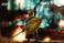 Dark Souls Deformation Figure Vol.3 (Set of 6) (Completed) その他の画像7 Thumbnail