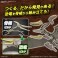 PLANNOSAURUS Pteranodon (Plastic model) その他の画像5 Modal Thumbnail