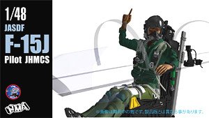 F-15J Pilot JHMCS (Plastic model)