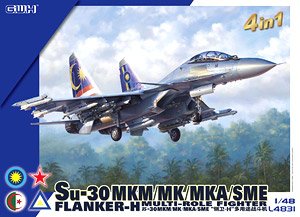 Su-30MKM/MK/MKA/SME (Plastic model)