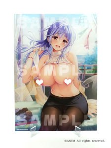 ANIM Selection Vol.2 いつまま人気6タイトル教えちゃう!! A4アクリルパネル (キャラクターグッズ)