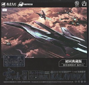 Nantianmen Project Kalavinka III Combat Aircraft X-03 Camouflage Custom (Pre-Colored) (Plastic model)