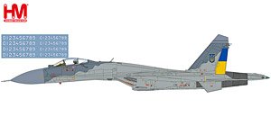 Su-27 `Compass Ghost Grey scheme` Ukrainian Air Force, 2023 (with AGM-88 and IRIS-T missiles) (Pre-built Aircraft)