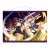 The Thousand Noble Musketeers: Rhodoknight B3 Tapestry (Shassepot) (Anime Toy) Item picture1