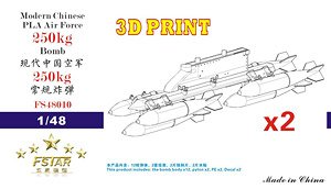 Modern Chinese PLA Air Force 250kg Bomb with Pylons (2 Pices) 3D Printing (Plastic model)