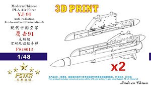 中国人民解放軍空軍 YJ-91 超音速 空対艦対レーダーミサイルw/パイロン (2セット) (プラモデル)