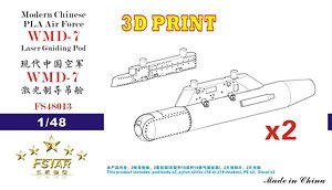 Modern Chinese PLA Air Force WMD-7 Laser Guiding Pod with Pylons (2 Pices) 3D Printing (Plastic model)