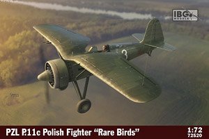 ポーランドPZL P.11c・ガル翼戦闘機・特殊迷彩 (プラモデル)