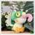 Monster Hunter Deformed Plush Pukei-Pukei (Reprint) (Anime Toy) Other picture1